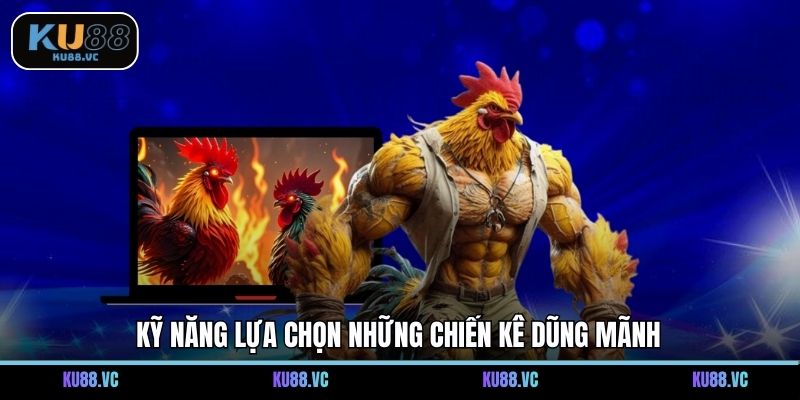 Kỹ năng lựa chọn những chiến kê dũng mãnh